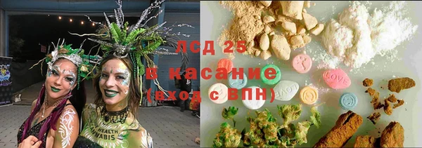 кокс Алзамай