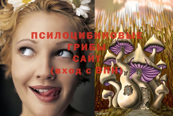 альфа пвп Алексеевка